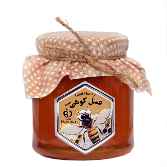 عسل کوهی الموت ۴۰۰ گرمی