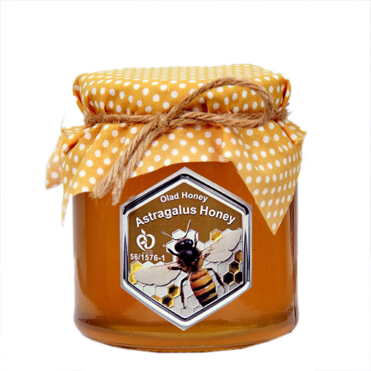 عسل ارگانیک گون ۴۰۰ گرمی