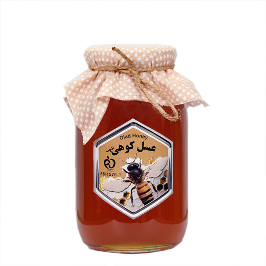 عسل کوهی الموت ۹۸۰ گرمی