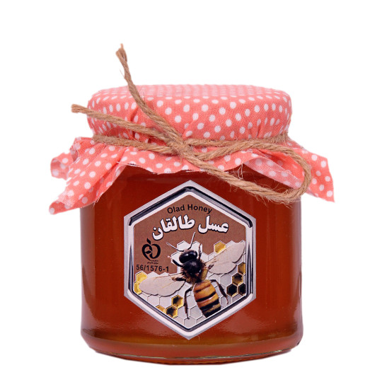 عسل طالقان ۴۰۰ گرمی